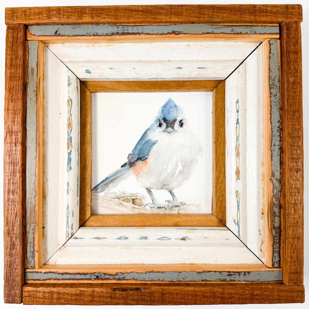 Blue Jay with Rustic Frame