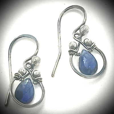 Horseshoe Earrings with Gemstones