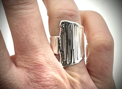 Boiler Chip Crotch Hugger Ring