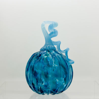 Medium curly stem pumpkin in aqua