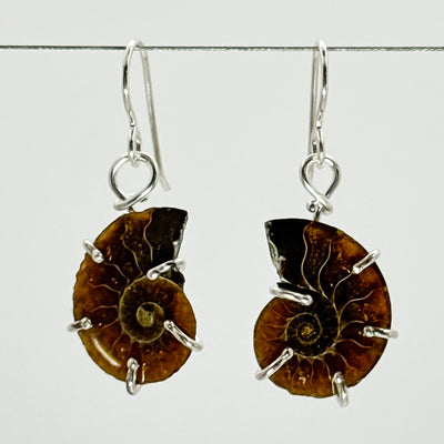Ammonite earrings