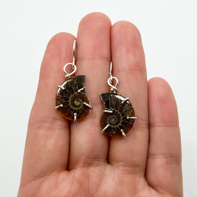 Ammonite earrings