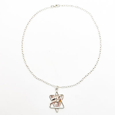 Sterling and 24k All Dogs Go to Heaven Star of David Necklace