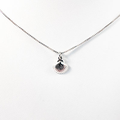 Small Scallop Shell Necklace
