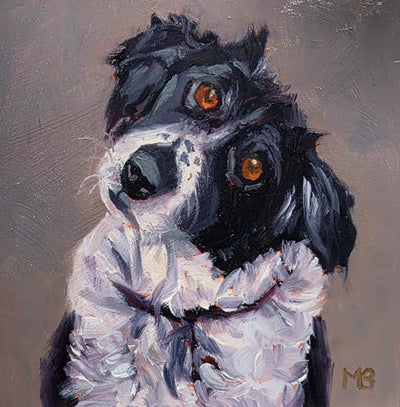 Dog Portraits