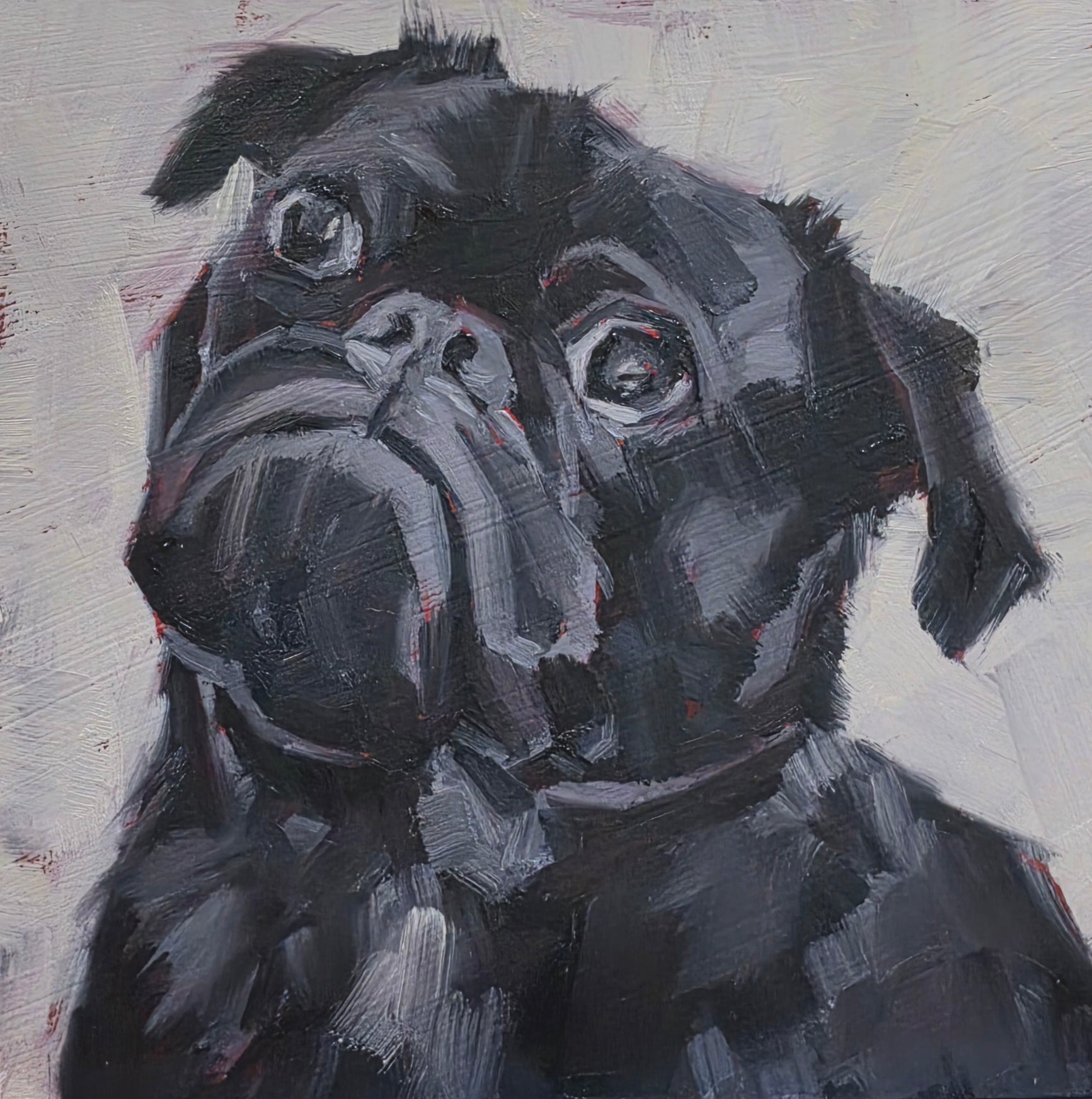 Dog Portraits