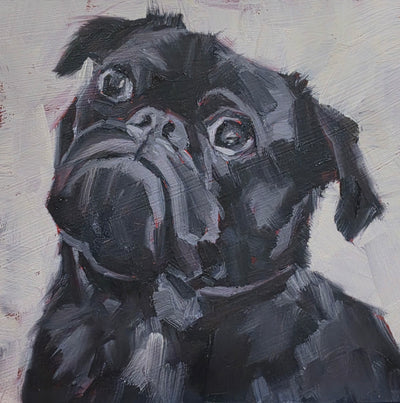 Dog Portraits