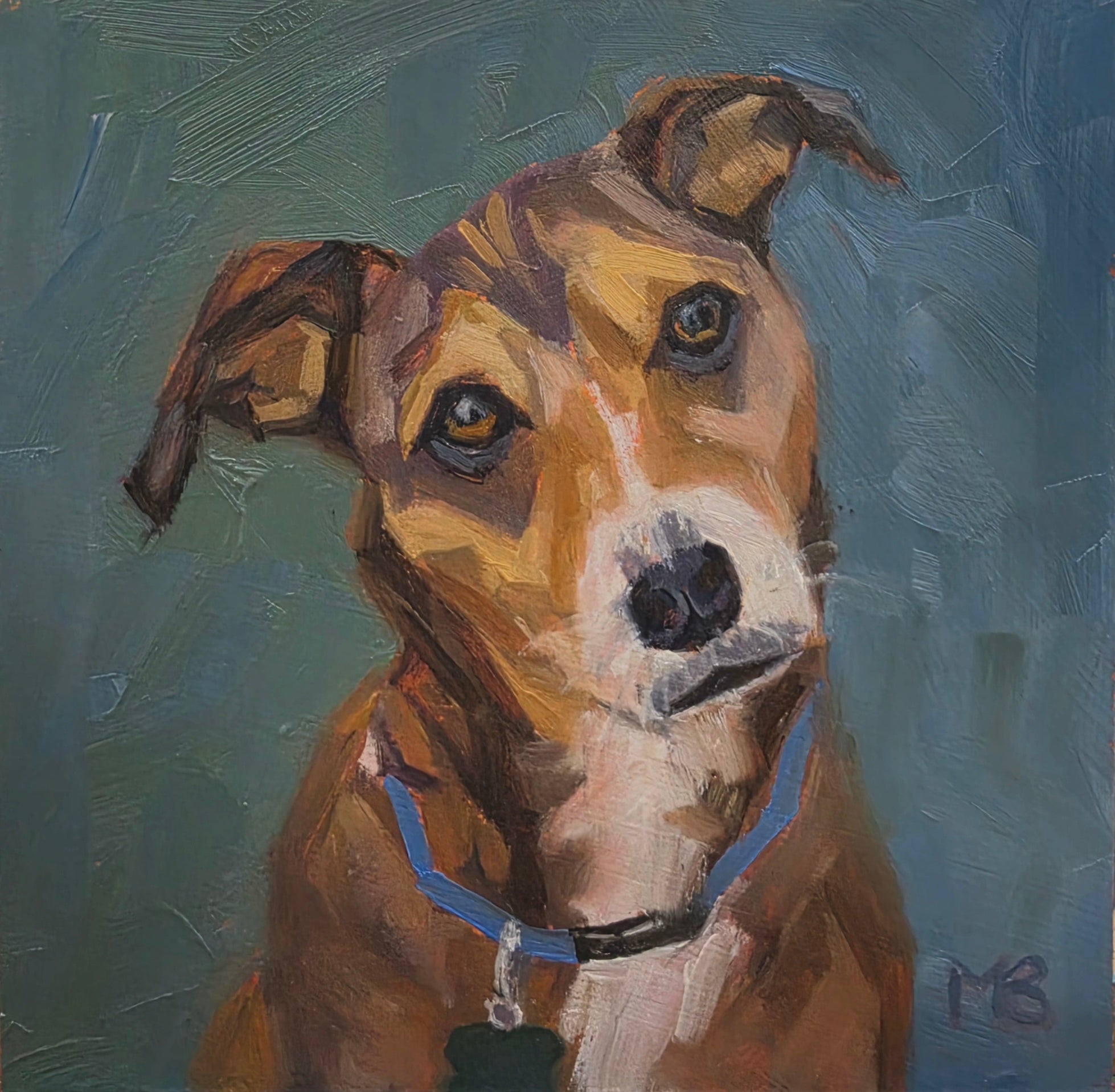 Dog Portraits