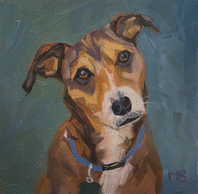 Dog Portraits