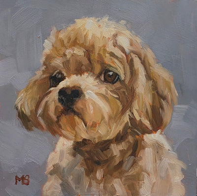 Dog Portraits