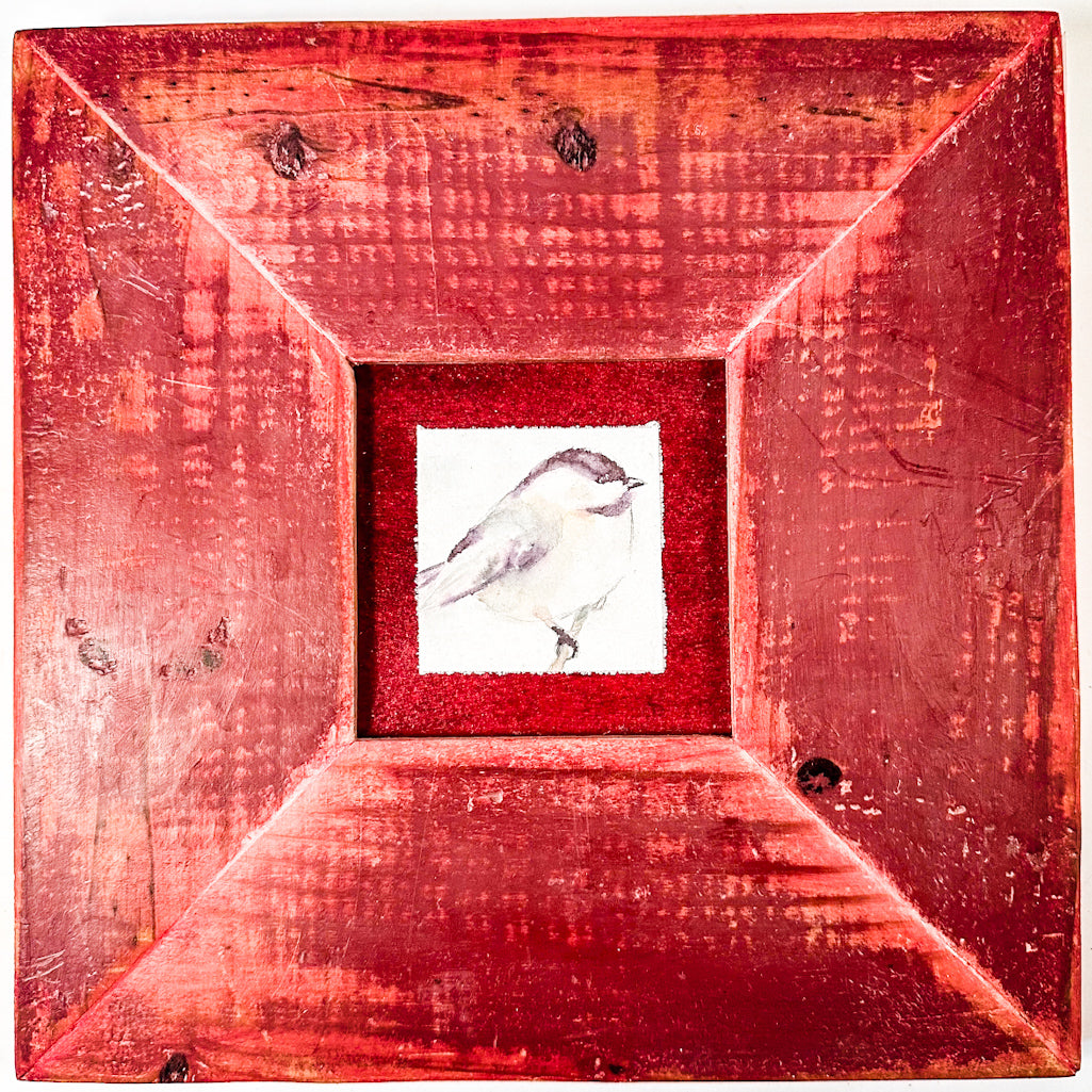 Chickadee in Red