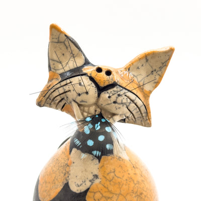 Orange Calico Cat