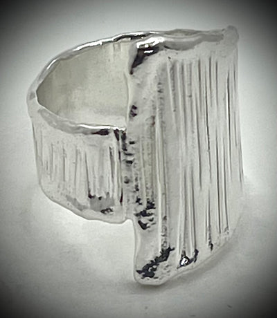 Boiler Chip Crotch Hugger Ring