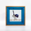Blue Fairywren