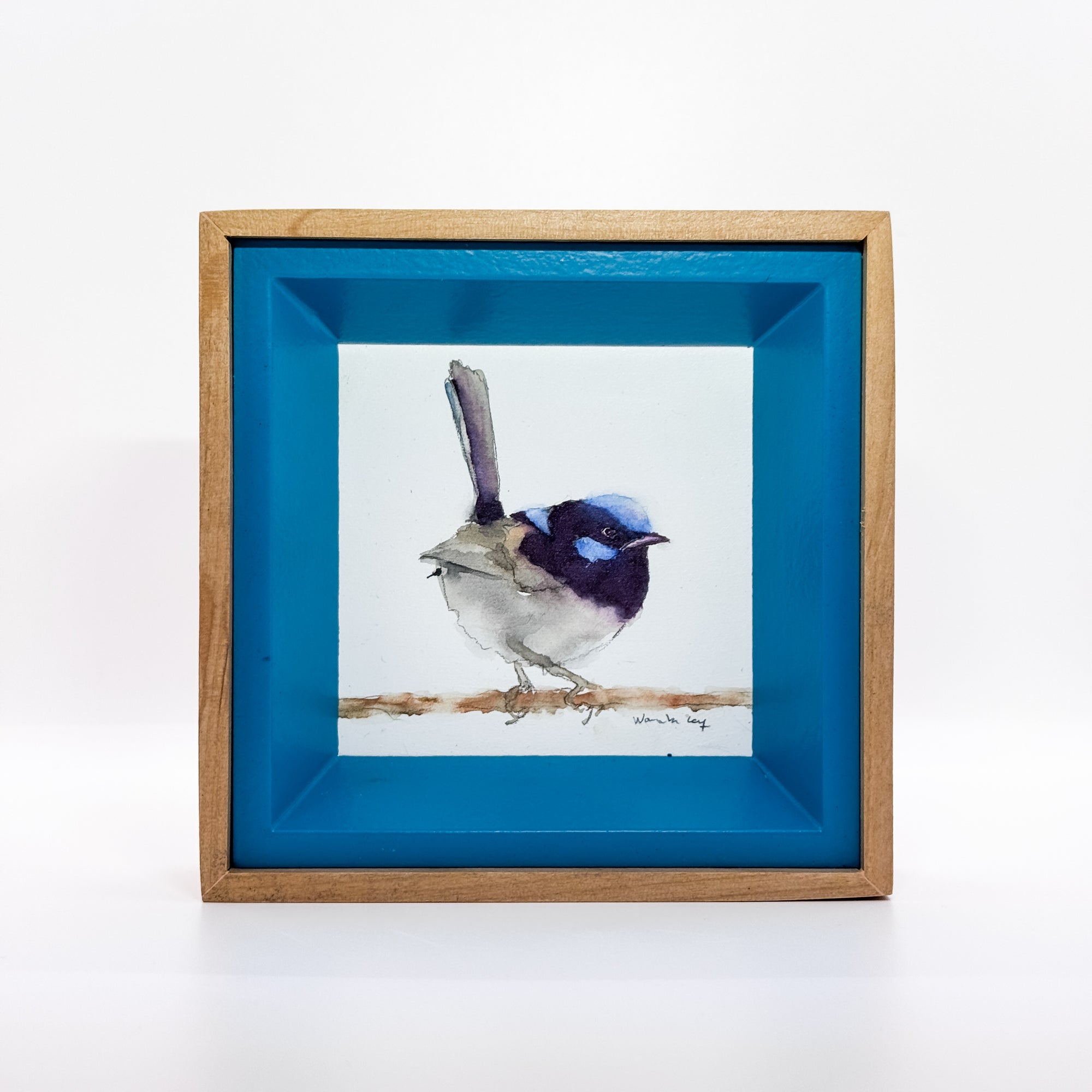 Blue Fairywren
