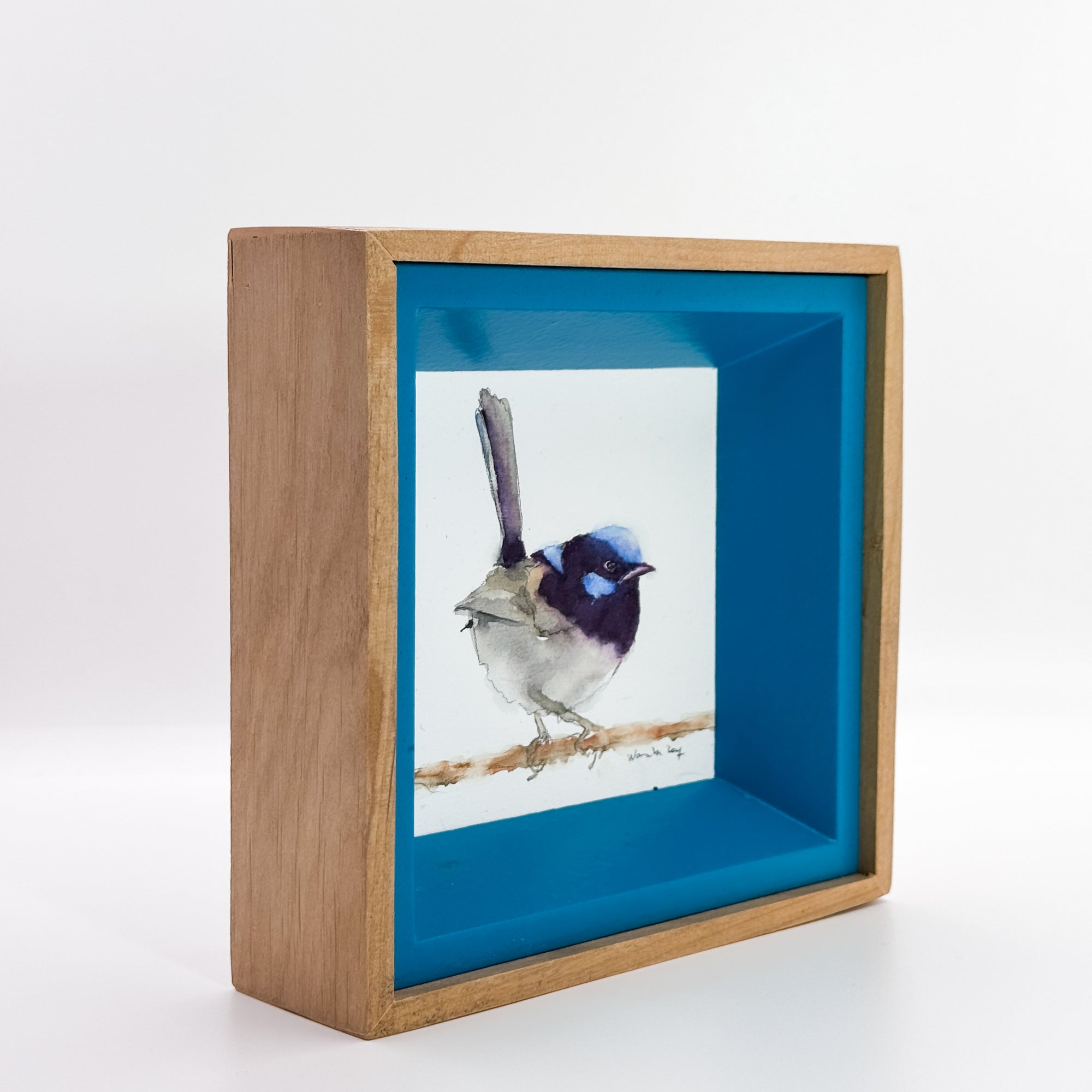 Blue Fairywren