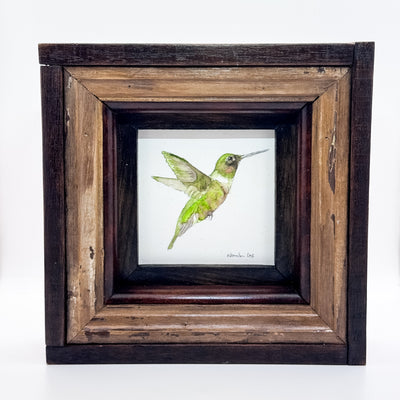 Green Hummingbird
