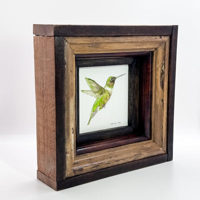Green Hummingbird