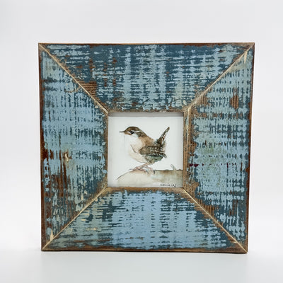 Shades of Blue Wren