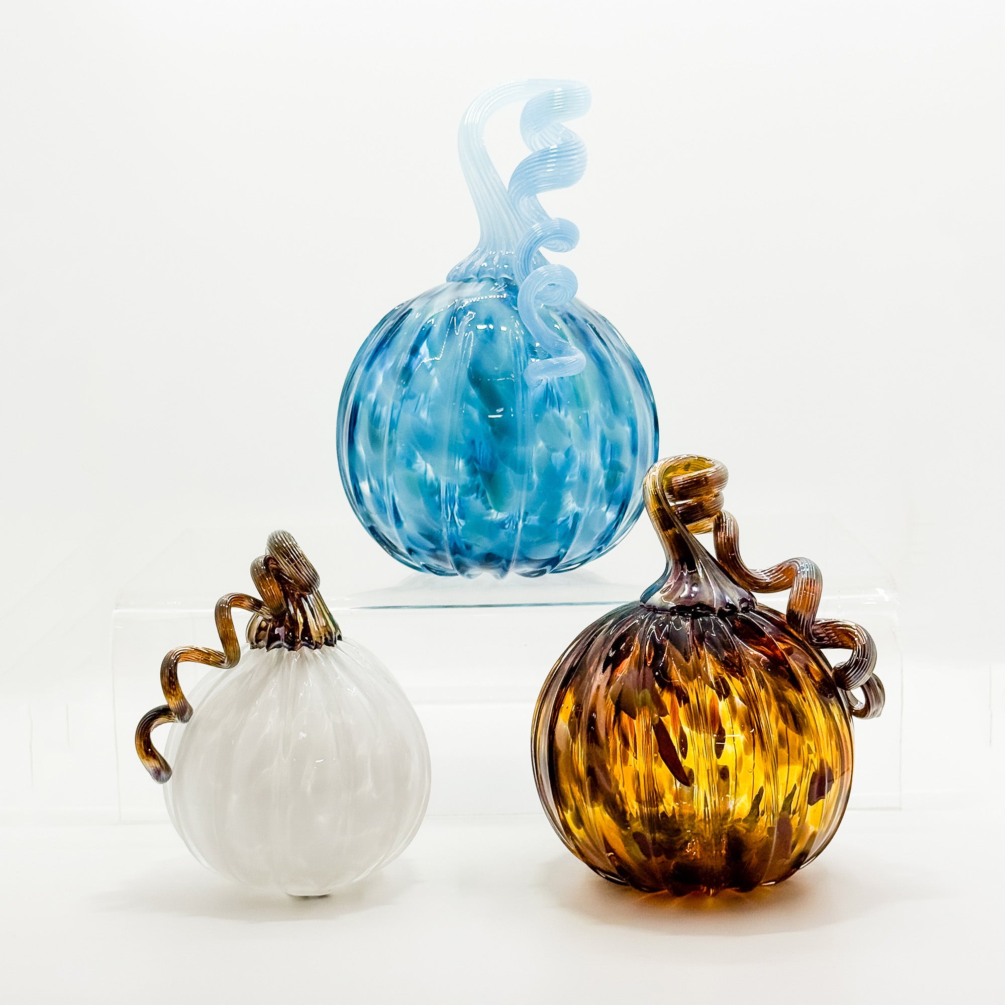 Medium curly stem pumpkin in aqua