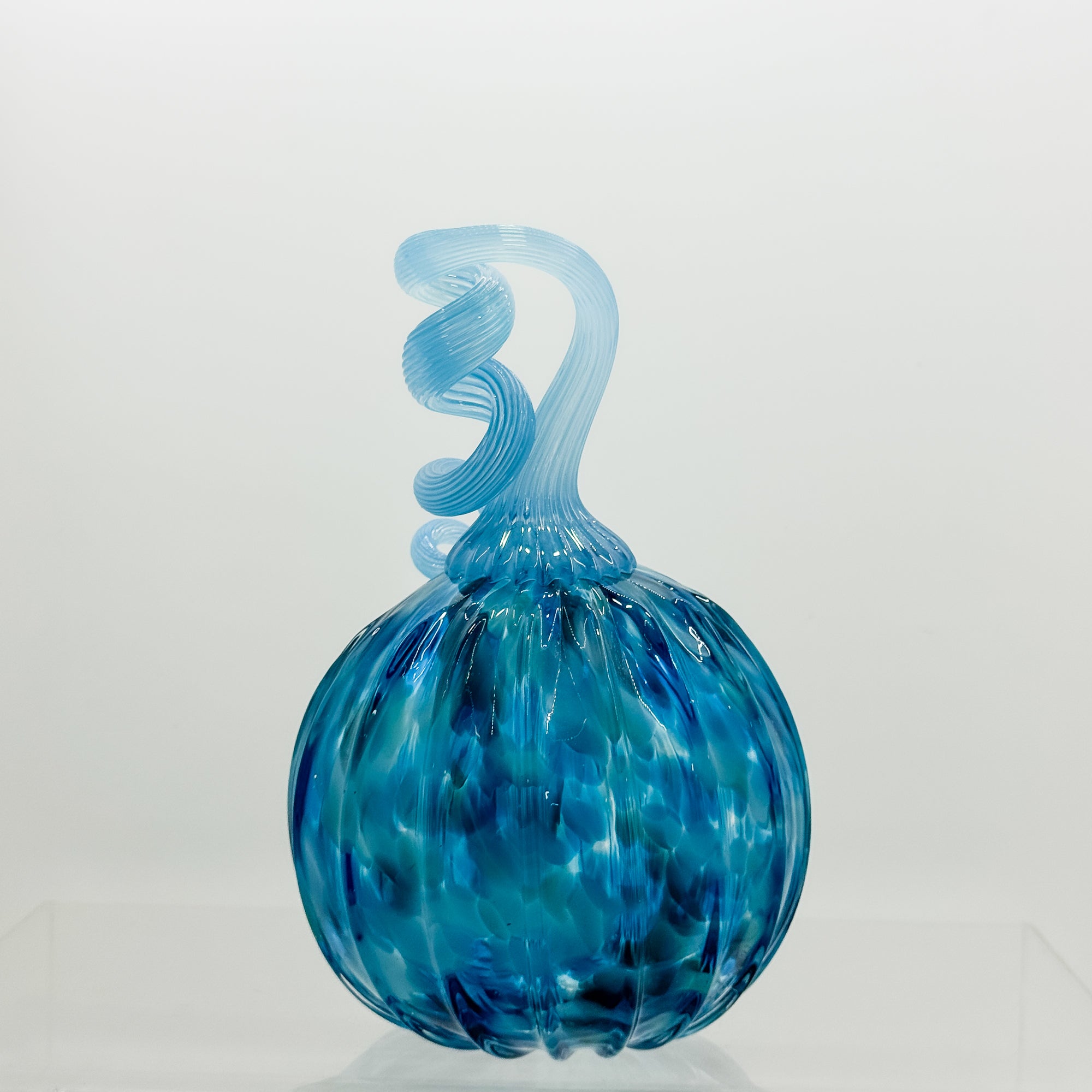 Medium curly stem pumpkin in aqua