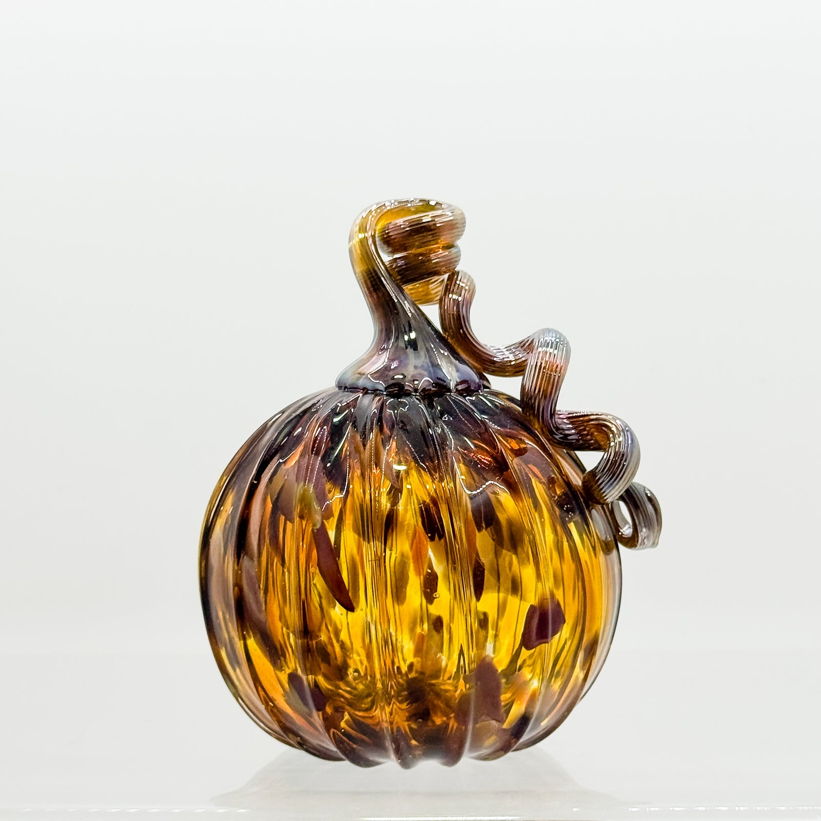 Medium curly stem pumpkin in amber
