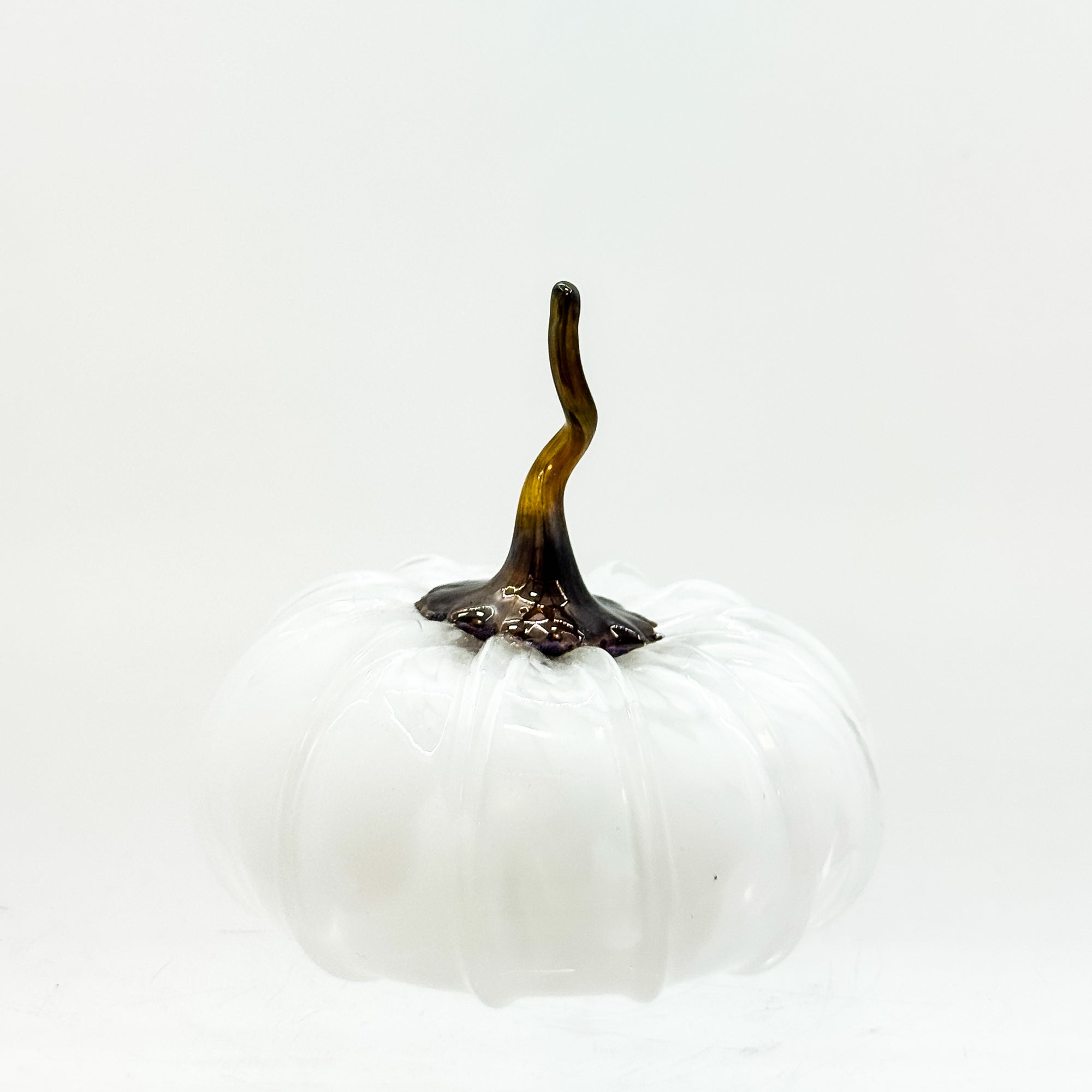 Small squatty pumpkin in white