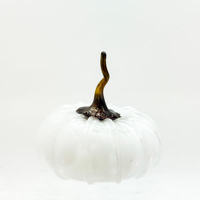 Small squatty pumpkin in white