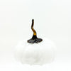 Small squatty pumpkin in white