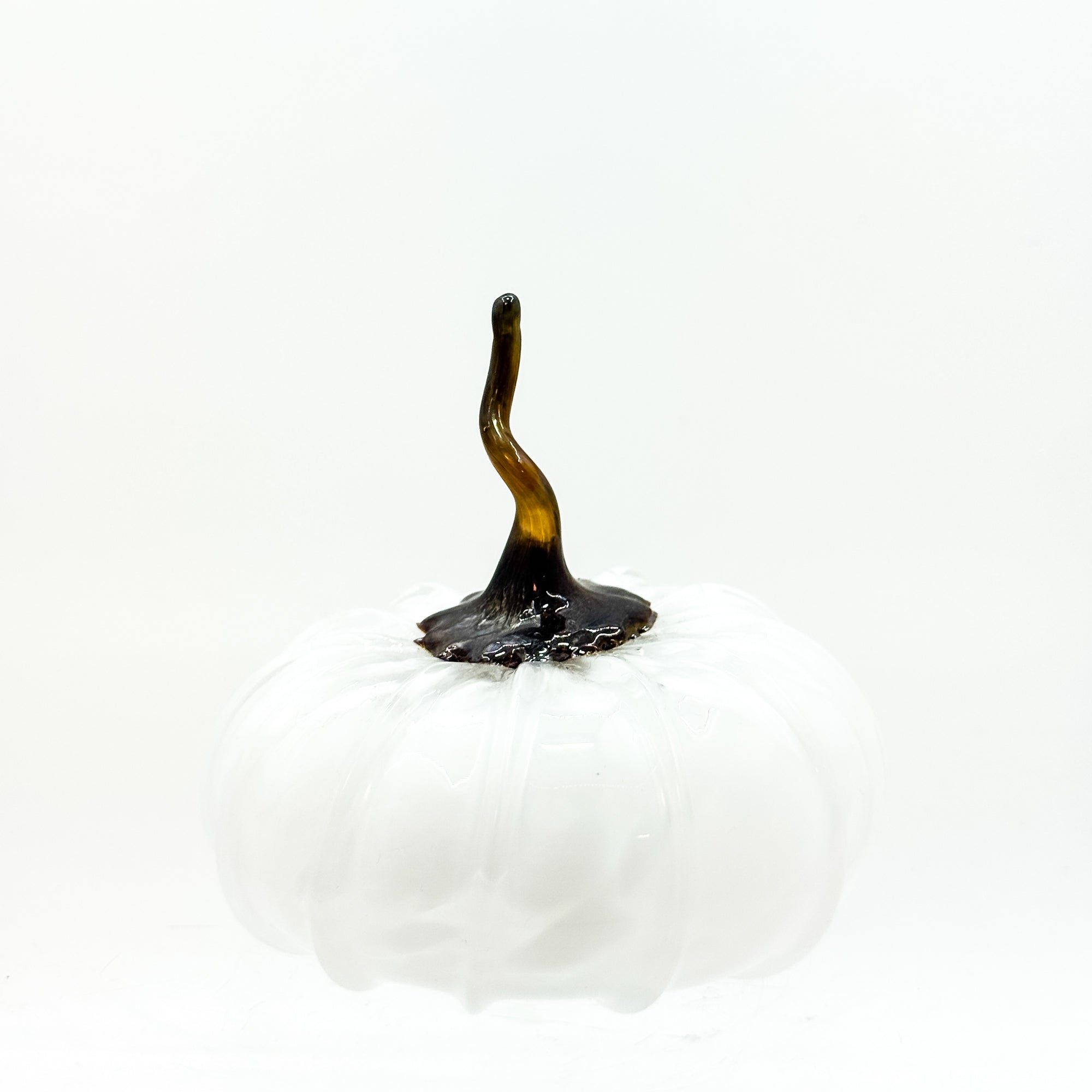 Small squatty pumpkin in white