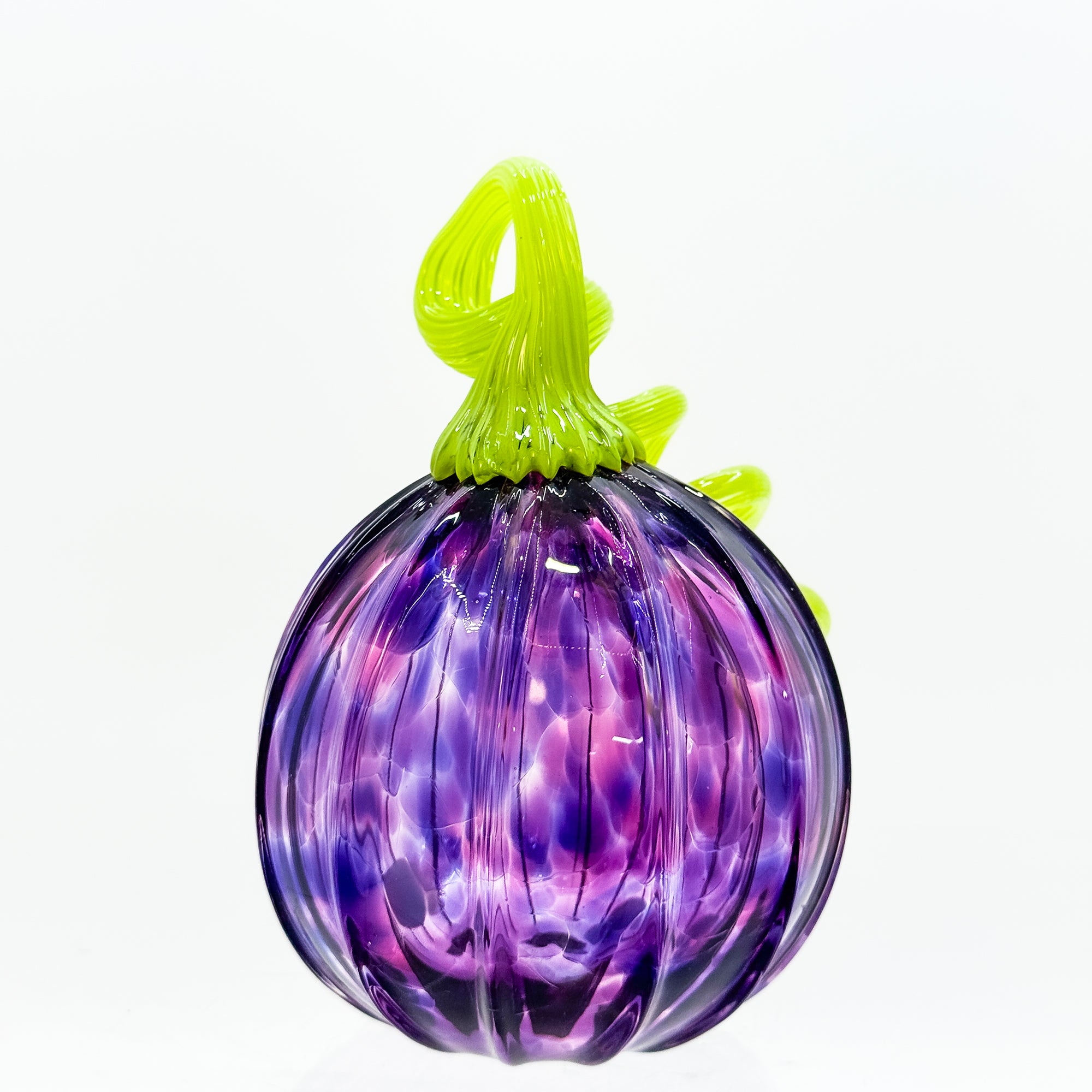 Small curly stem pumpkin in purple with granny apple green stem