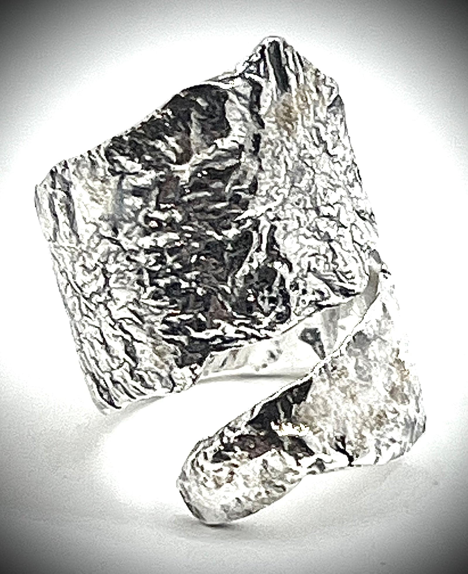 Reticulated SideStep Ring