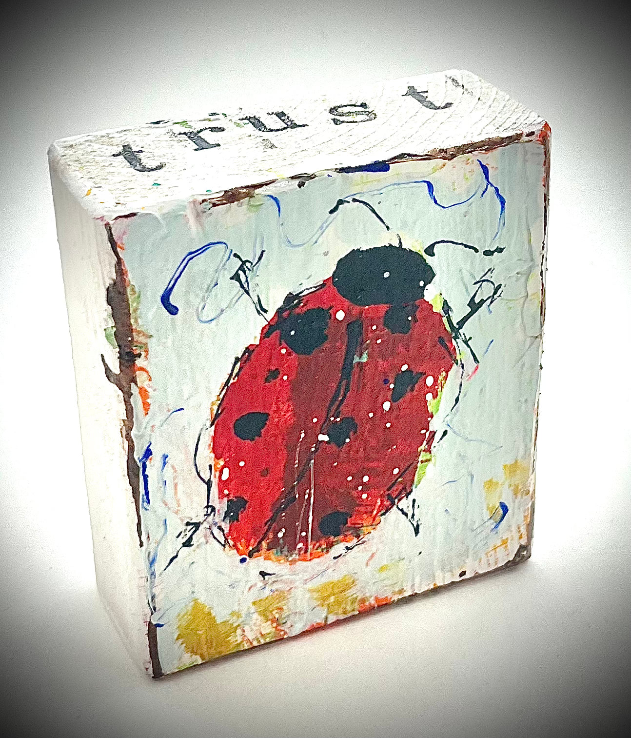Lady Bug Painted Block