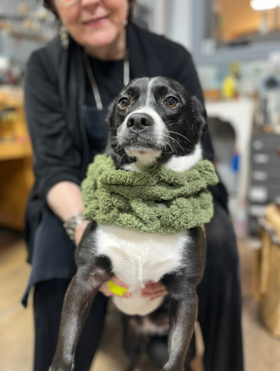 Dog Muffs