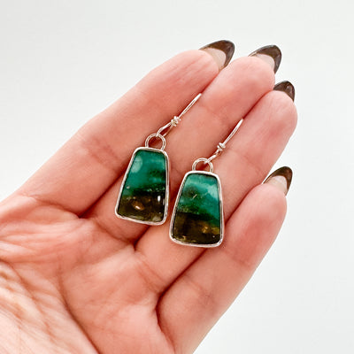 Opalized wood trapezoid earrings