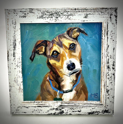 Dog Portraits