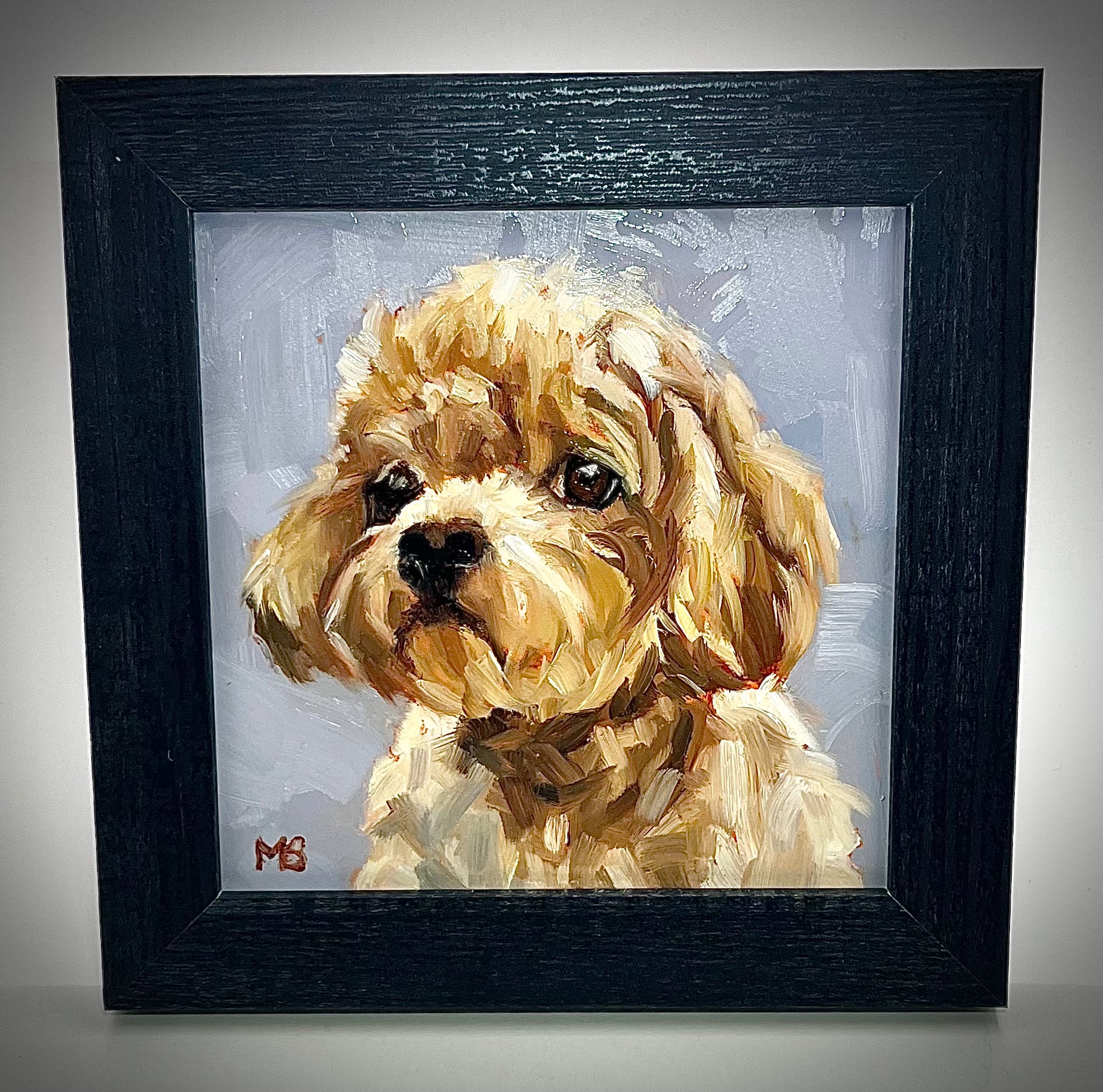 Dog Portraits