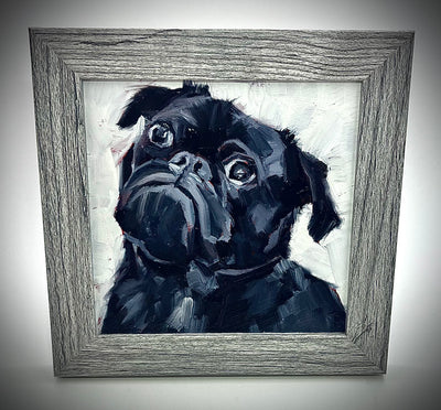 Dog Portraits
