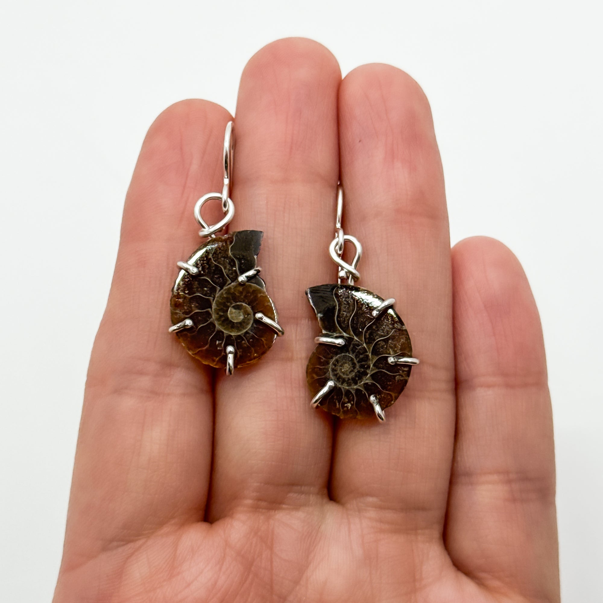 Ammonite earrings