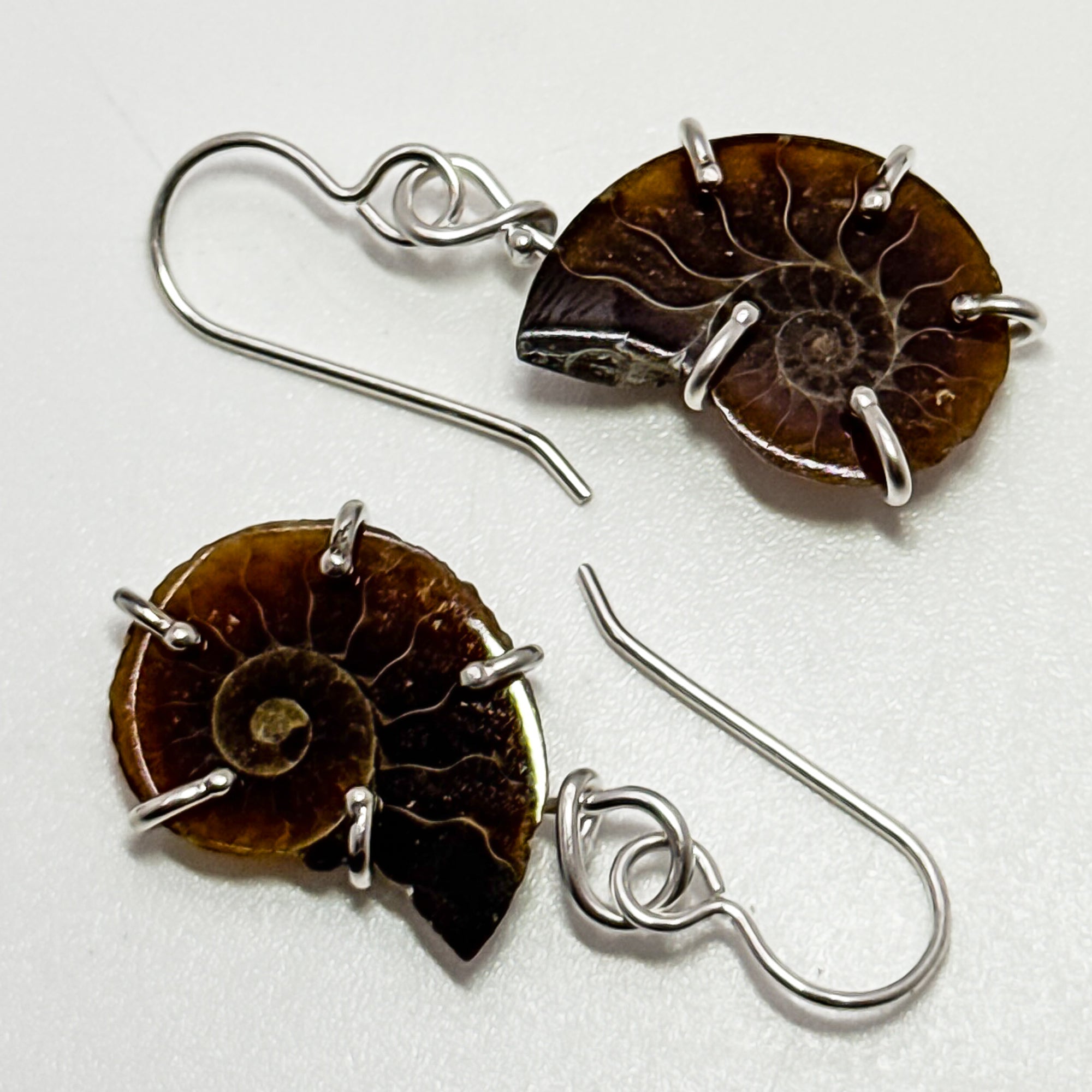 Ammonite earrings