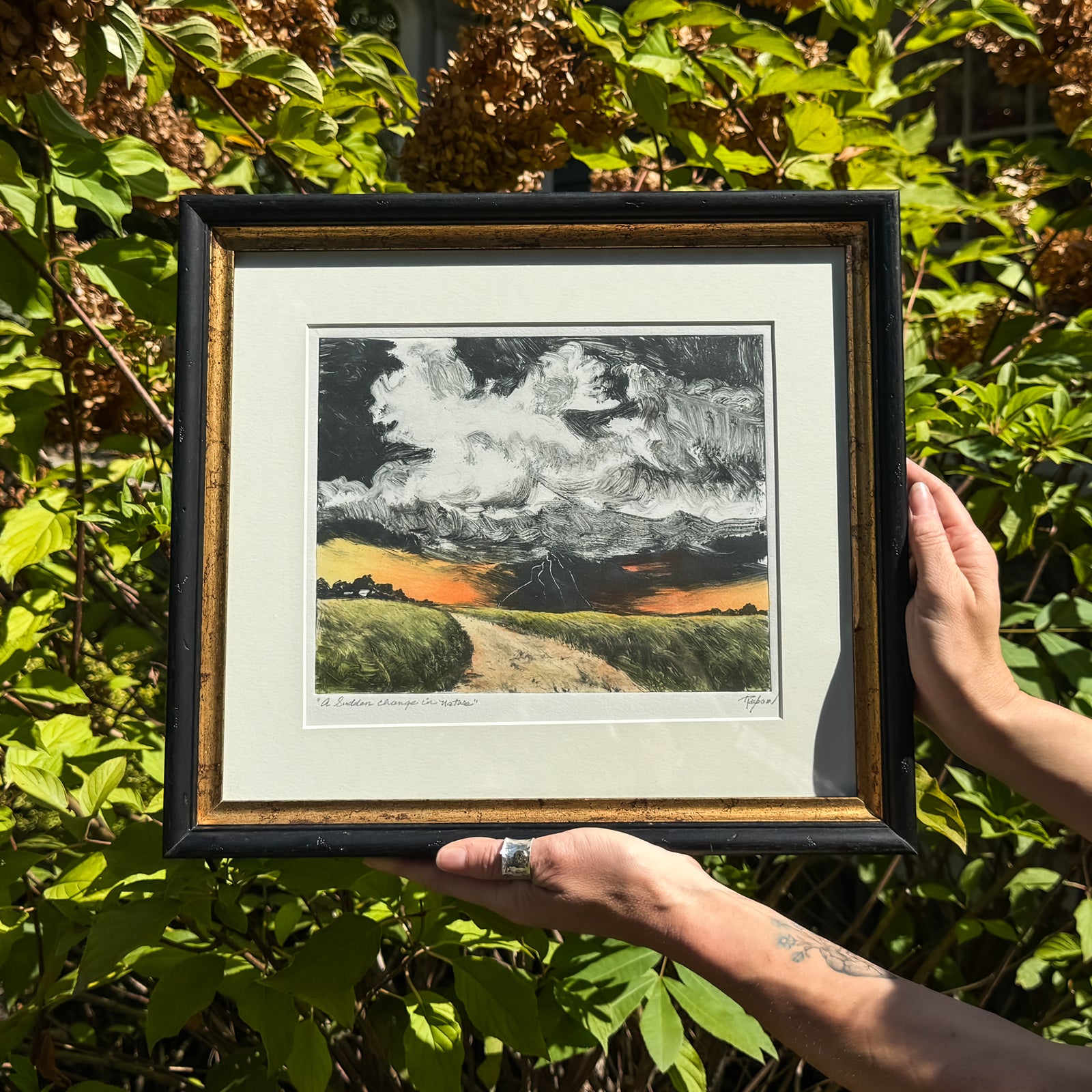 A Sudden Change in Nature