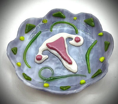 Uterus Ring Dish