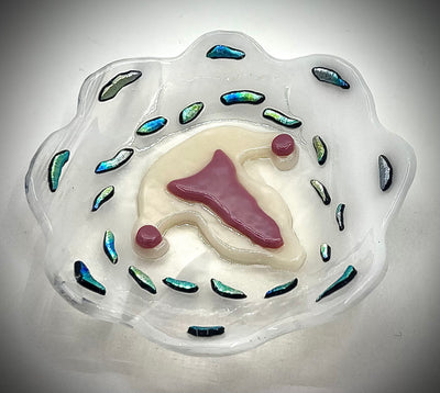 Uterus Ring Dish