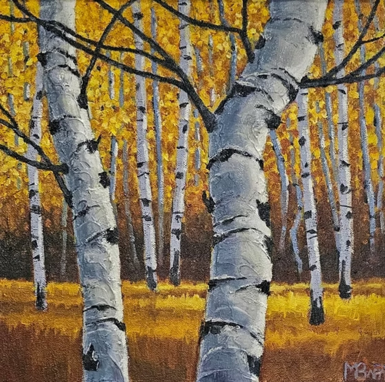 Autumn Birch 1