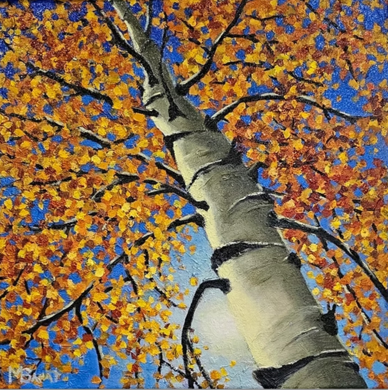 Autumn Birch 2