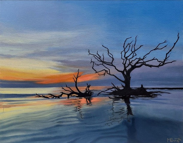 Driftwood - Jekyll Island