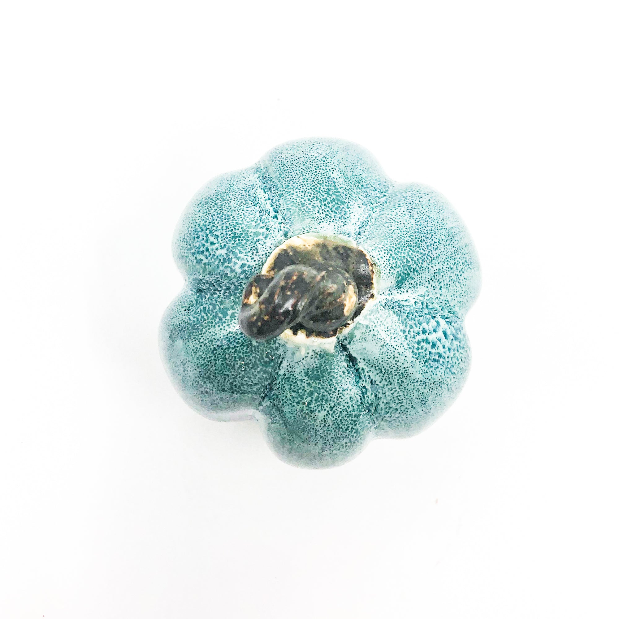 Small Speckled Teal Pumpkin