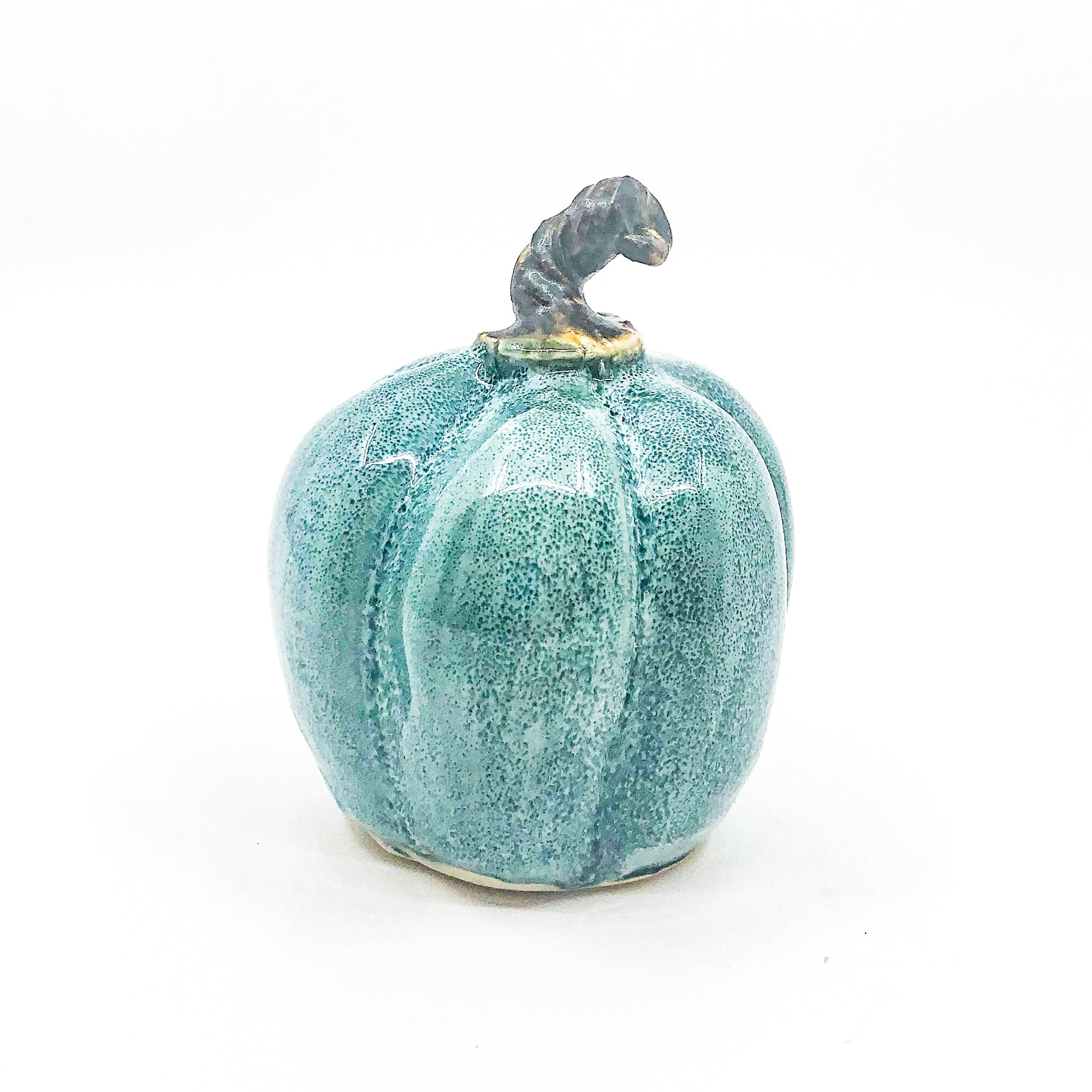 Small Speckled Teal Pumpkin